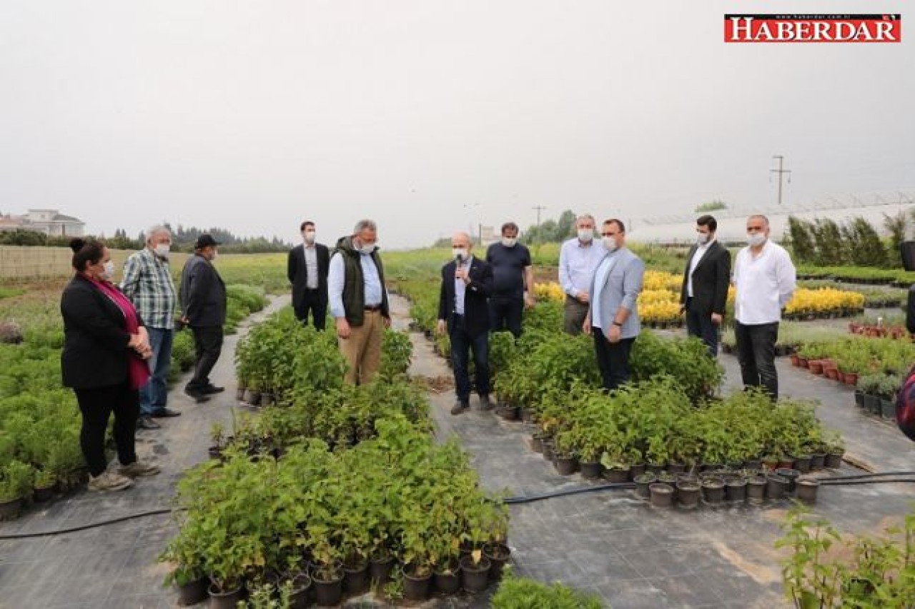 Aromatik ve Tıbbi Bitkiler Borsası Büyükçekmece’de kuruluyor