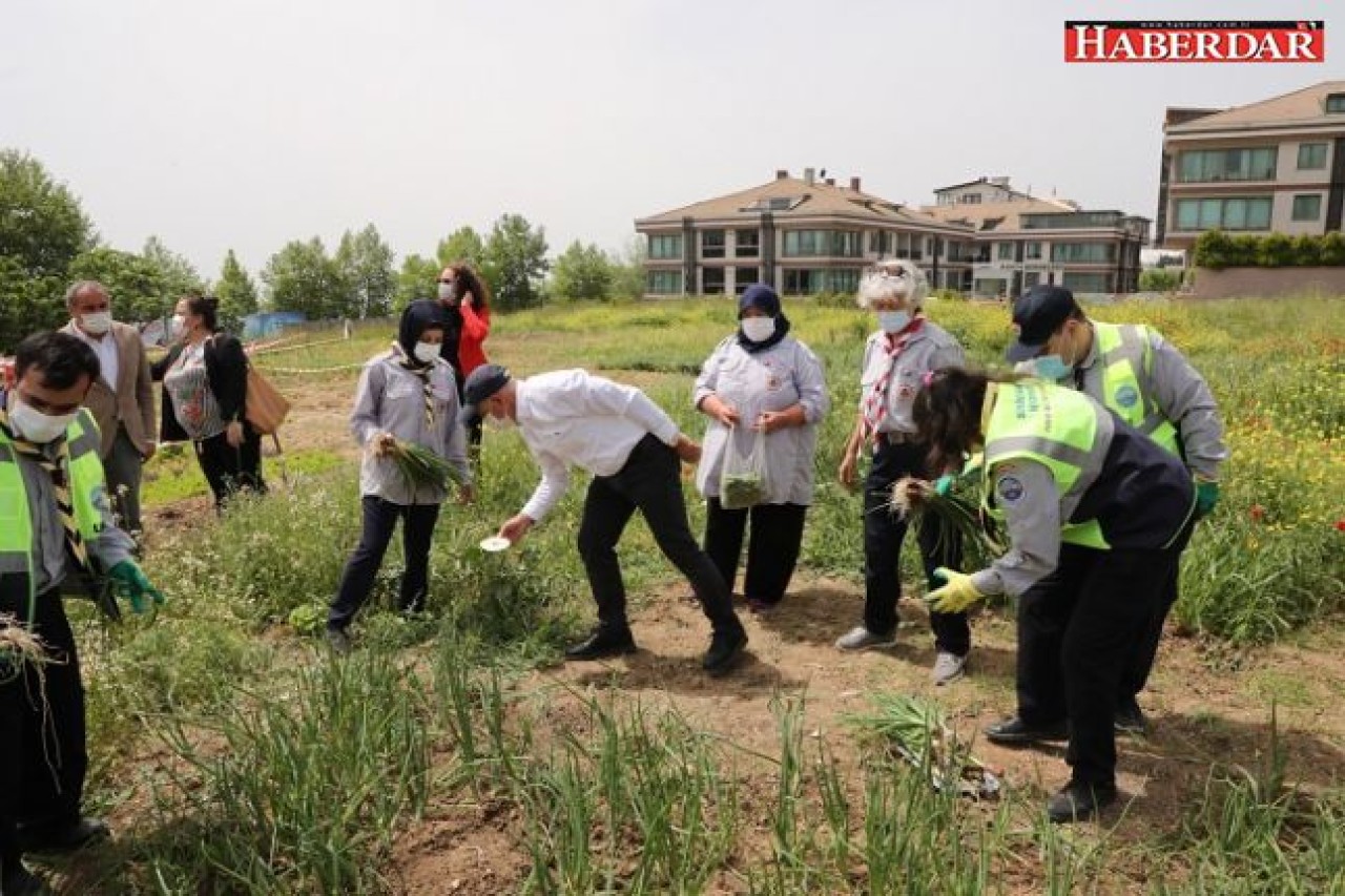 Engel tanımayan izciler meyve ve sebze yetiştirmeye başladı!