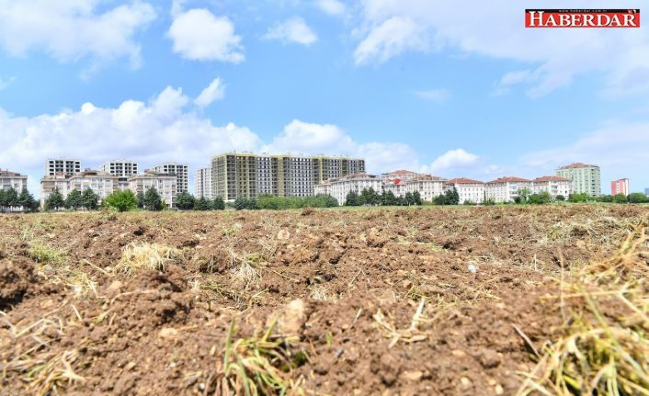 2. YAŞAM BAHÇESİ İÇİN ÇALIŞMALAR BAŞLADI