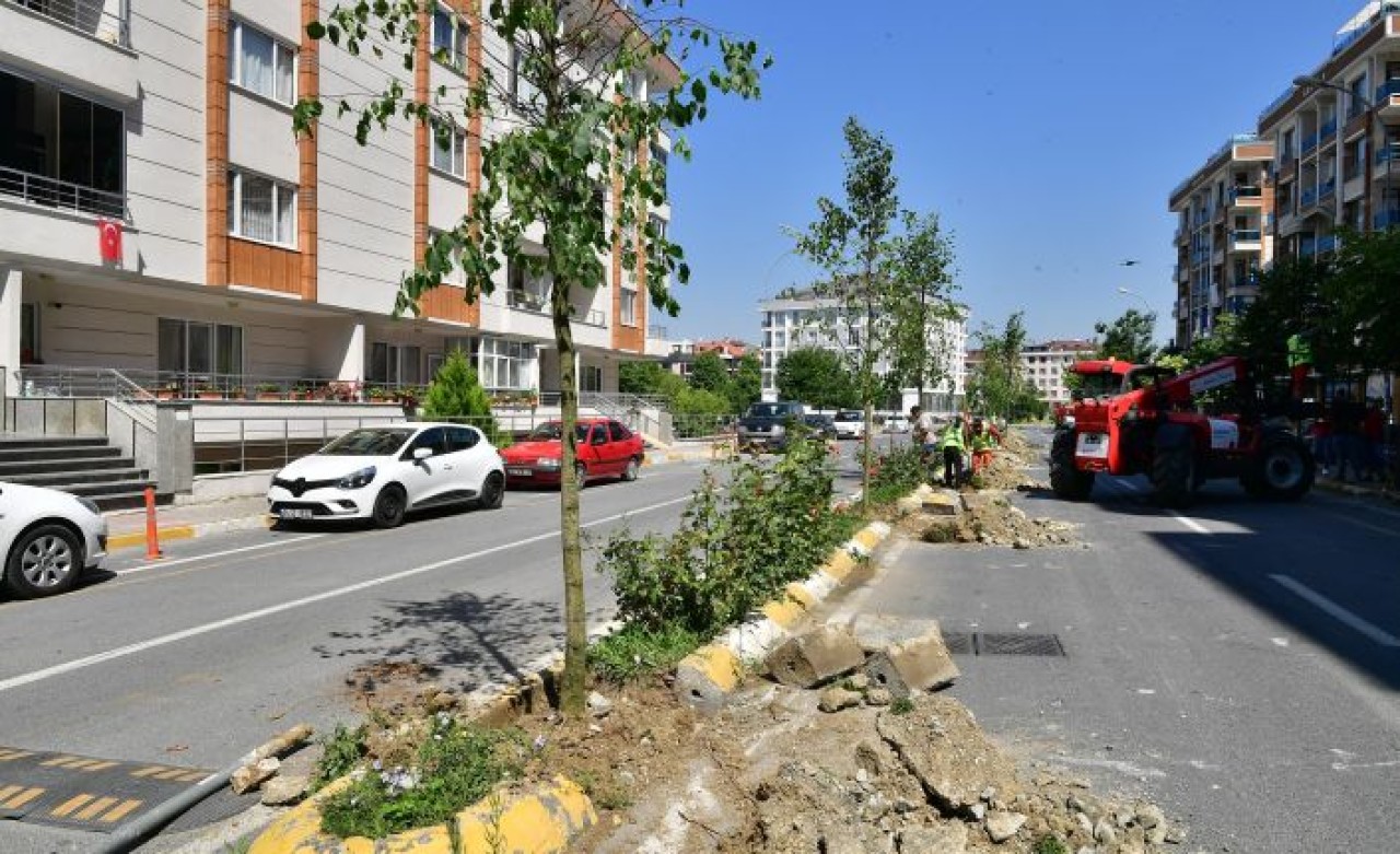 BEYLİKDÜZÜ’NDE VATANDAŞIN SEÇTİĞİ AĞAÇLAR DİKİLMEYE DEVAM EDİYOR