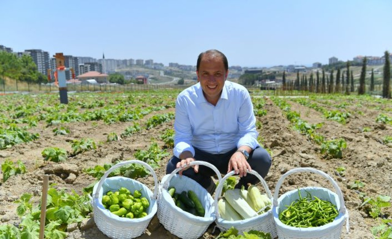 BAŞKAN ÇALIK YAŞAM BAHÇESİ’NİN MAHSULLERİNİ TOPLADI