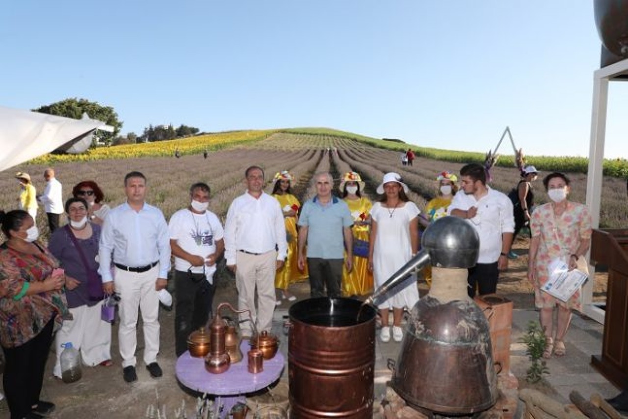 Lavanta Hasat Şenliği renkli görüntülerle gerçekleşti