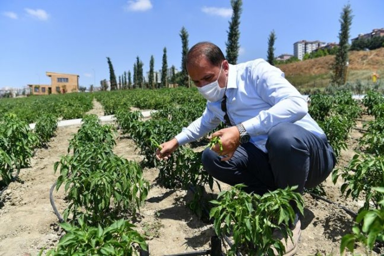 YAŞAM BAHÇESİ İLE İHTİYAÇ SAHİPLERİNİN YÜZÜ GÜLÜYOR