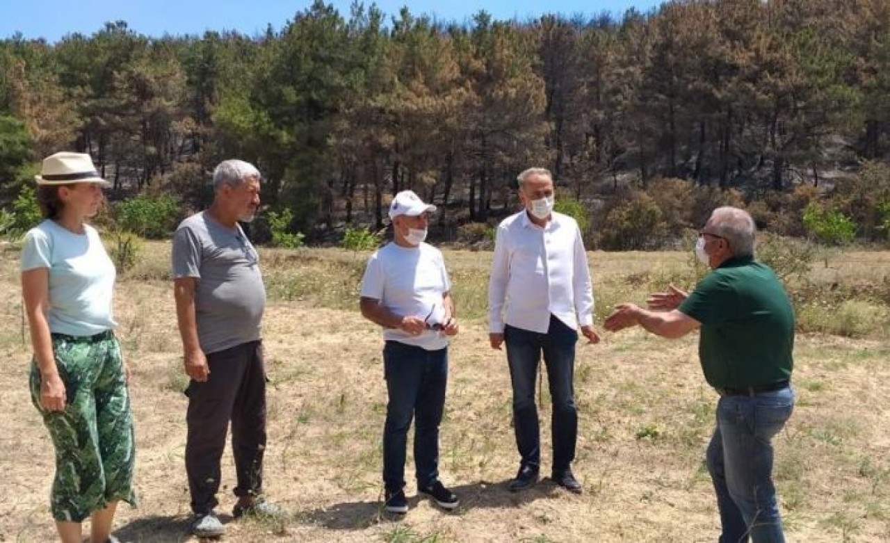 “Gelibolu ormanlarında yangının ana sebebi tahıl tarlalarıdır”
