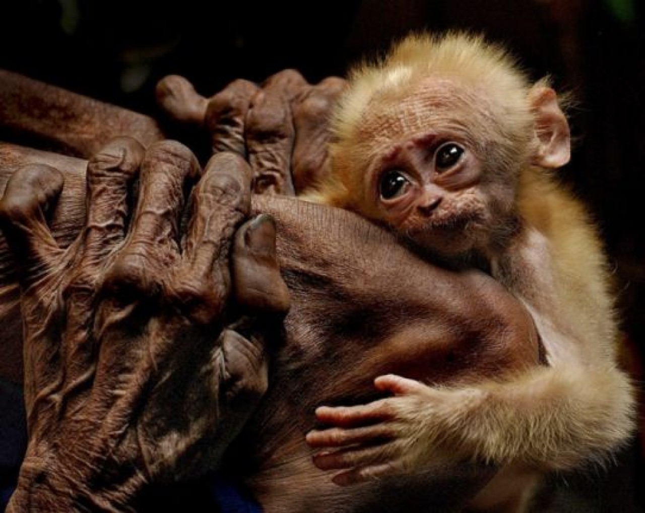 Uluslararası Güler Ertan Fotoğraf Yarışması Sonuçlandı