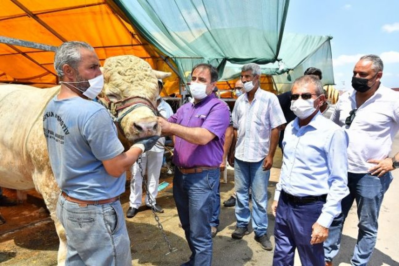 BEYLİKDÜZÜ MODERN KURBAN SATIŞ VE KESİM ALANI TAM NOT ALDI
