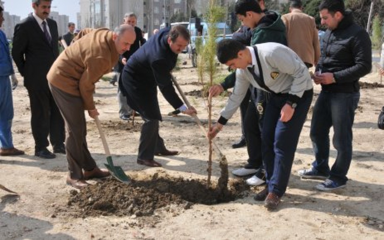 İLKÖĞRETİM ÖĞRENCİLERİ FİDANLARI TOPRAKLA BULUŞTURDU