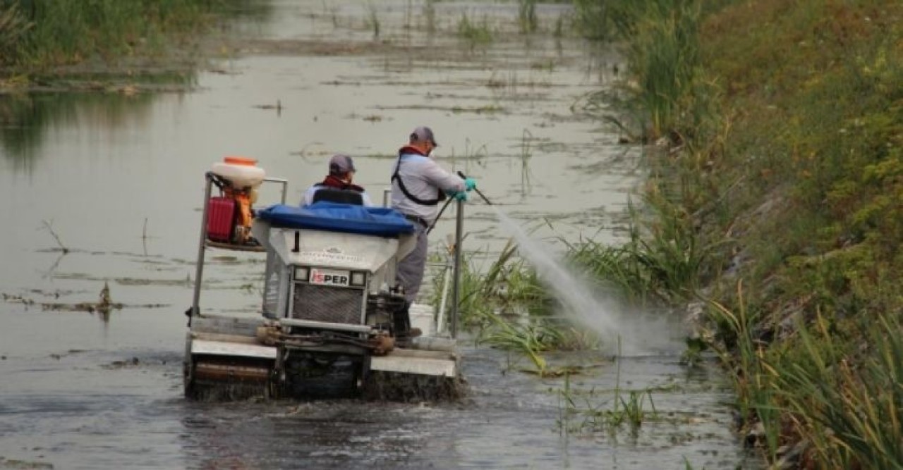İBBden 39 ilçe ve vektörlerle topyekün mücadele