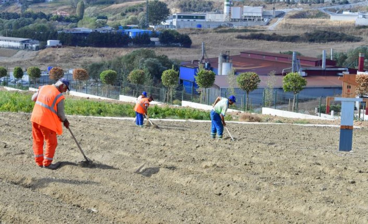YAŞAM BAHÇESİ’NDE 20 TON MAHSUL TOPLANDI