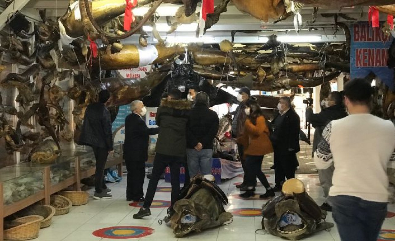 ORTA DOĞU’DAN TÜRKİYE DENİZ CANLILARI MÜZESİNE BÜYÜK İLGİ