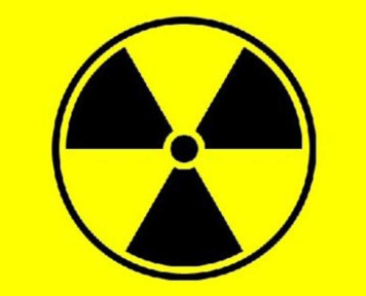 Halk nükleer santral istiyor mu?