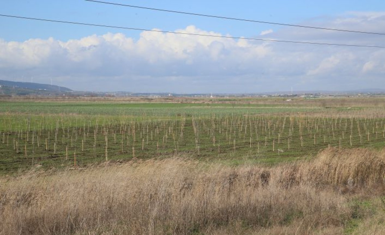 İSKİ, İÇME SUYU HAVZALARINI AĞAÇLANDIRIYOR