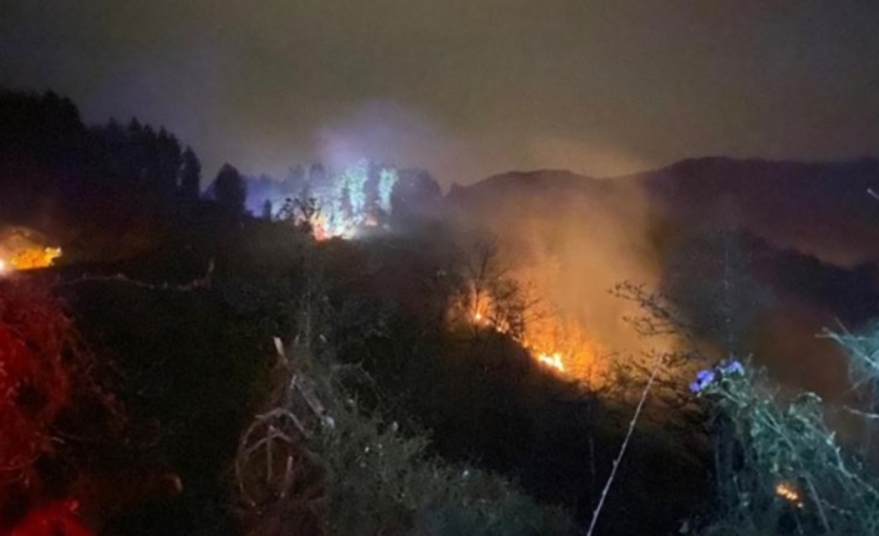 Rizede orman yangını!