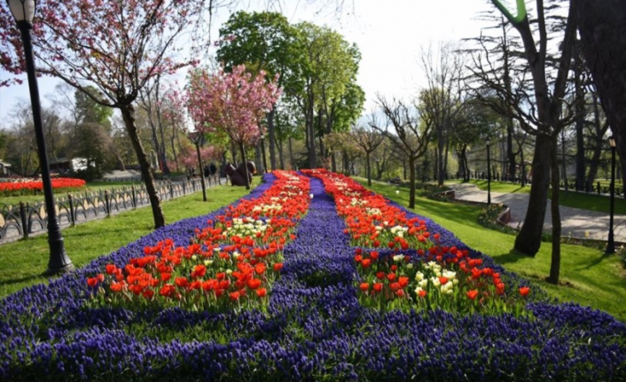Emirgan Korusunda lale zamanı
