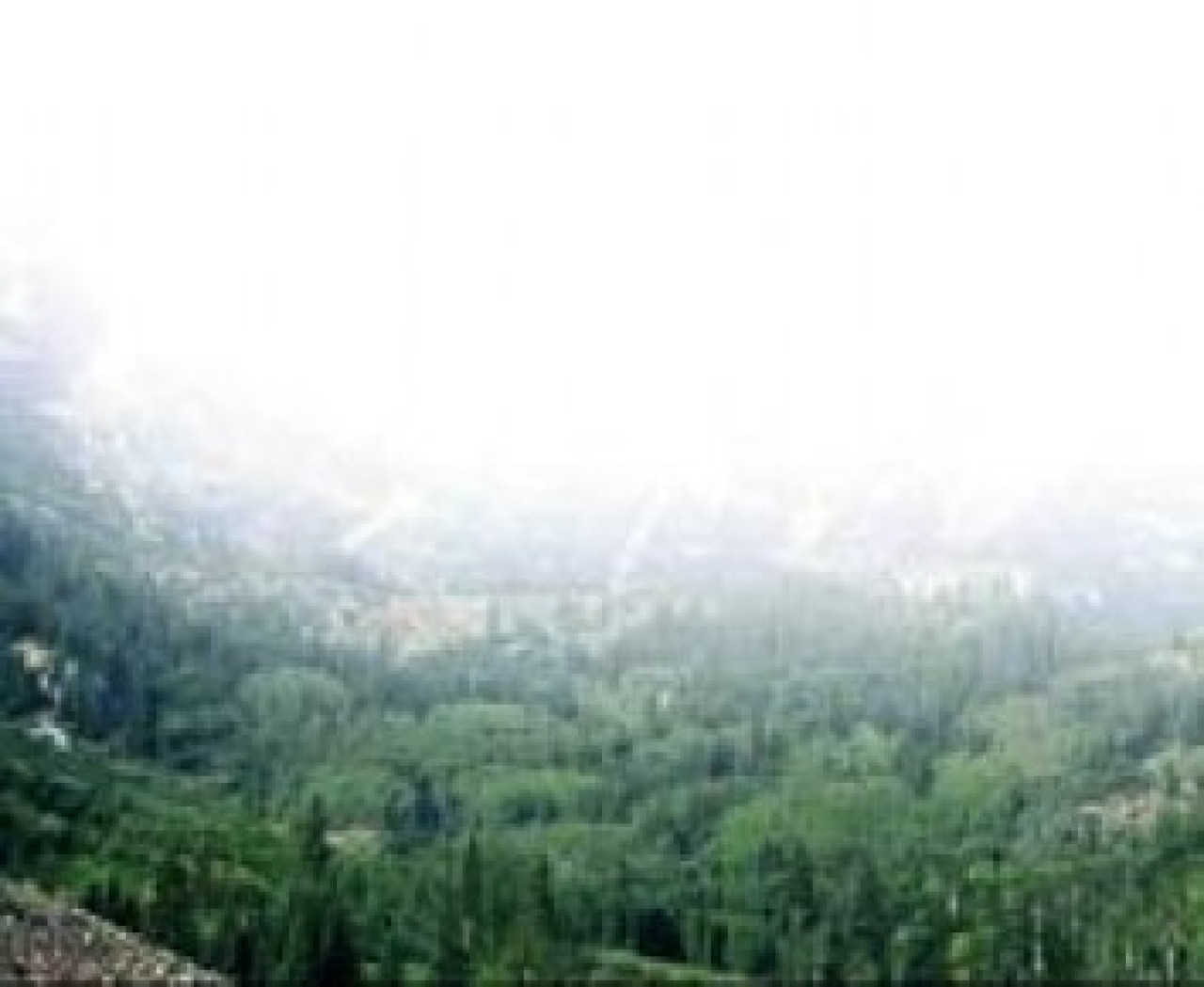 'Çılgın projenin hafriyatı orman için fırsat'