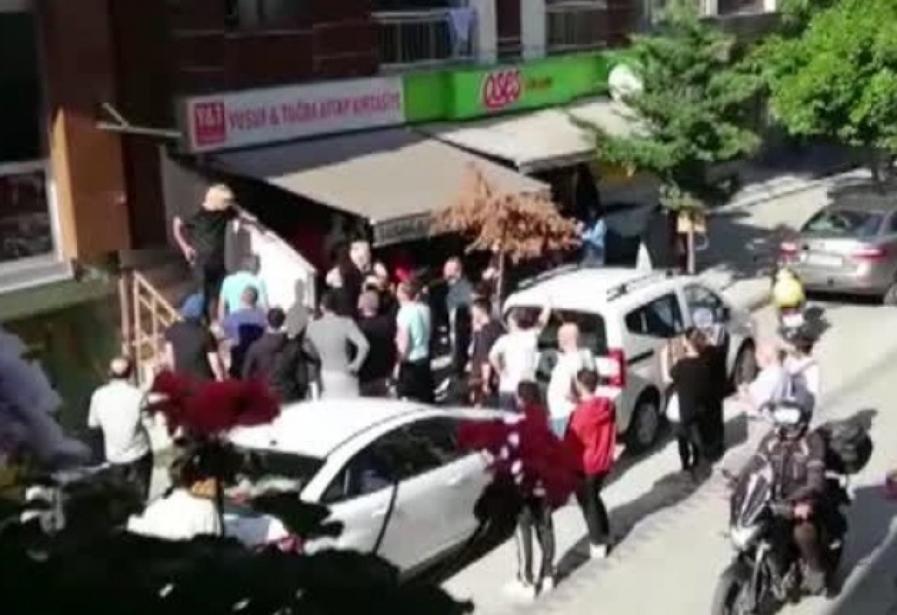 Küçükçekmecede yavru kedileri yiyen şüpheli yakalandı