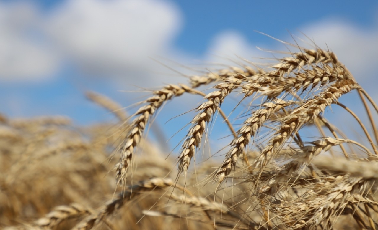 Büyükçekmece Belediyesi’nin ‘’Tarımda Yeni Uygulamalar’’ eğitimi tamamlandı