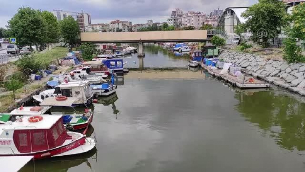 Küçükçekmece Gölündeki balık ölümleri