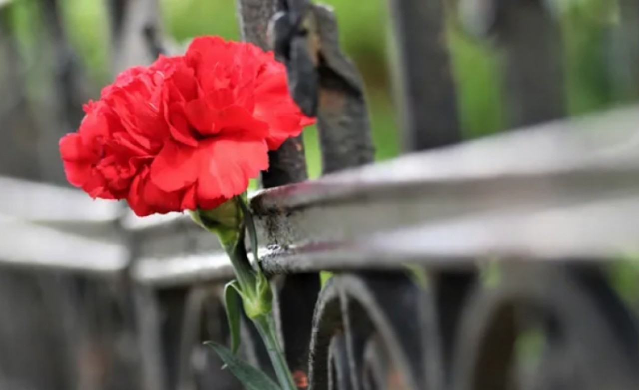 Medya dünyasının acı kaybı! Duayen gazeteci hayata veda etti