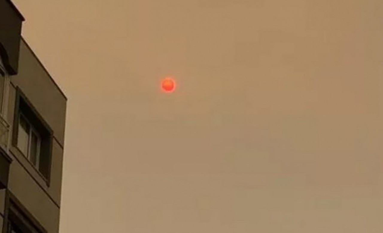 İzmirde şaşırtan görüntü: Güne böyle uyandılar!