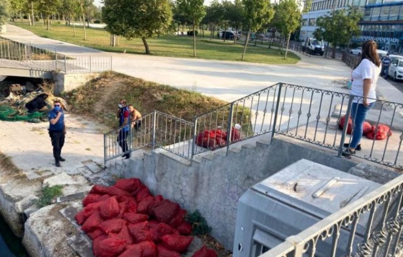 Menekşe Plajında kaçak midye avcılığı yapanlara operasyon