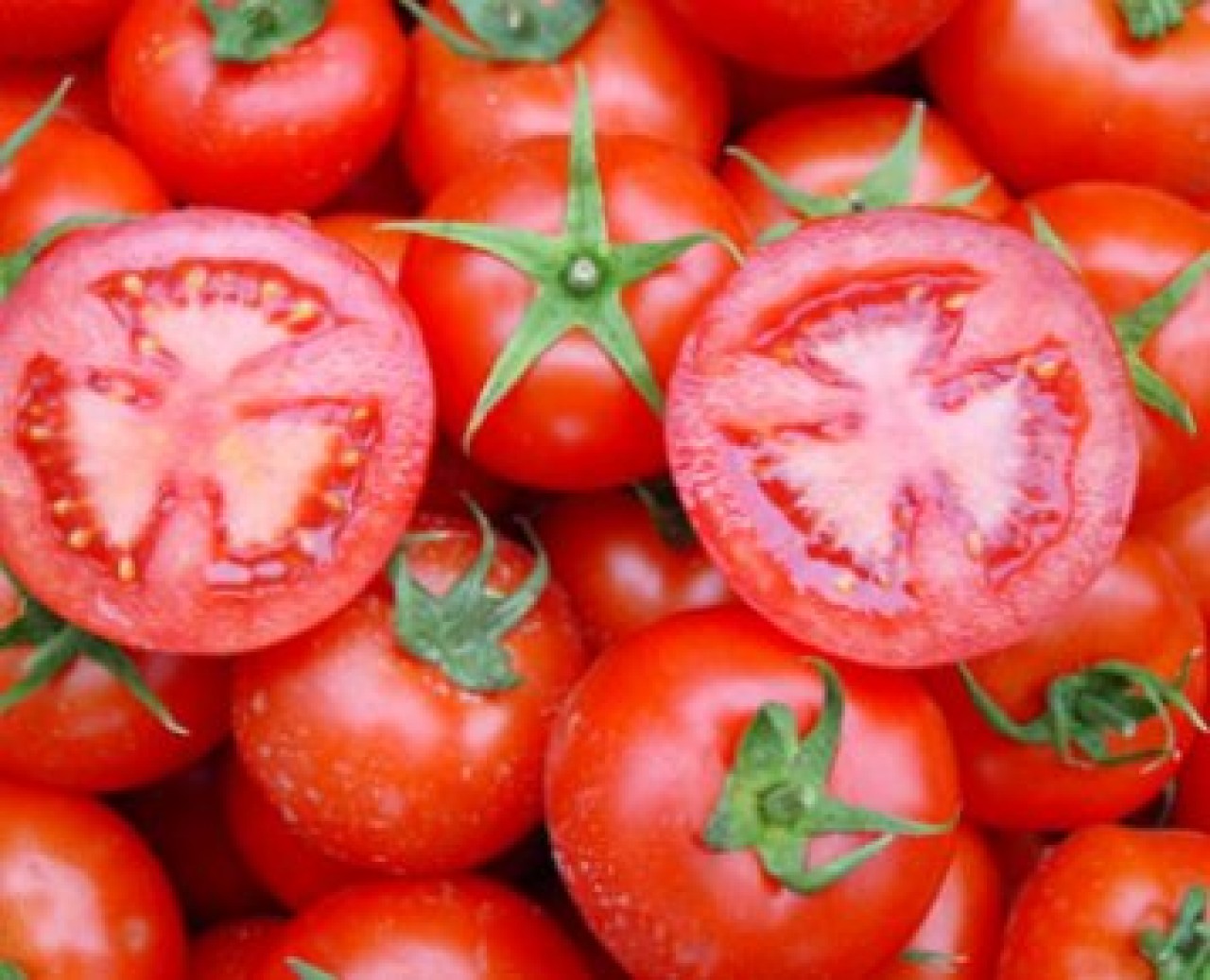 Türk domatesi Erivan'ı karıştırdı