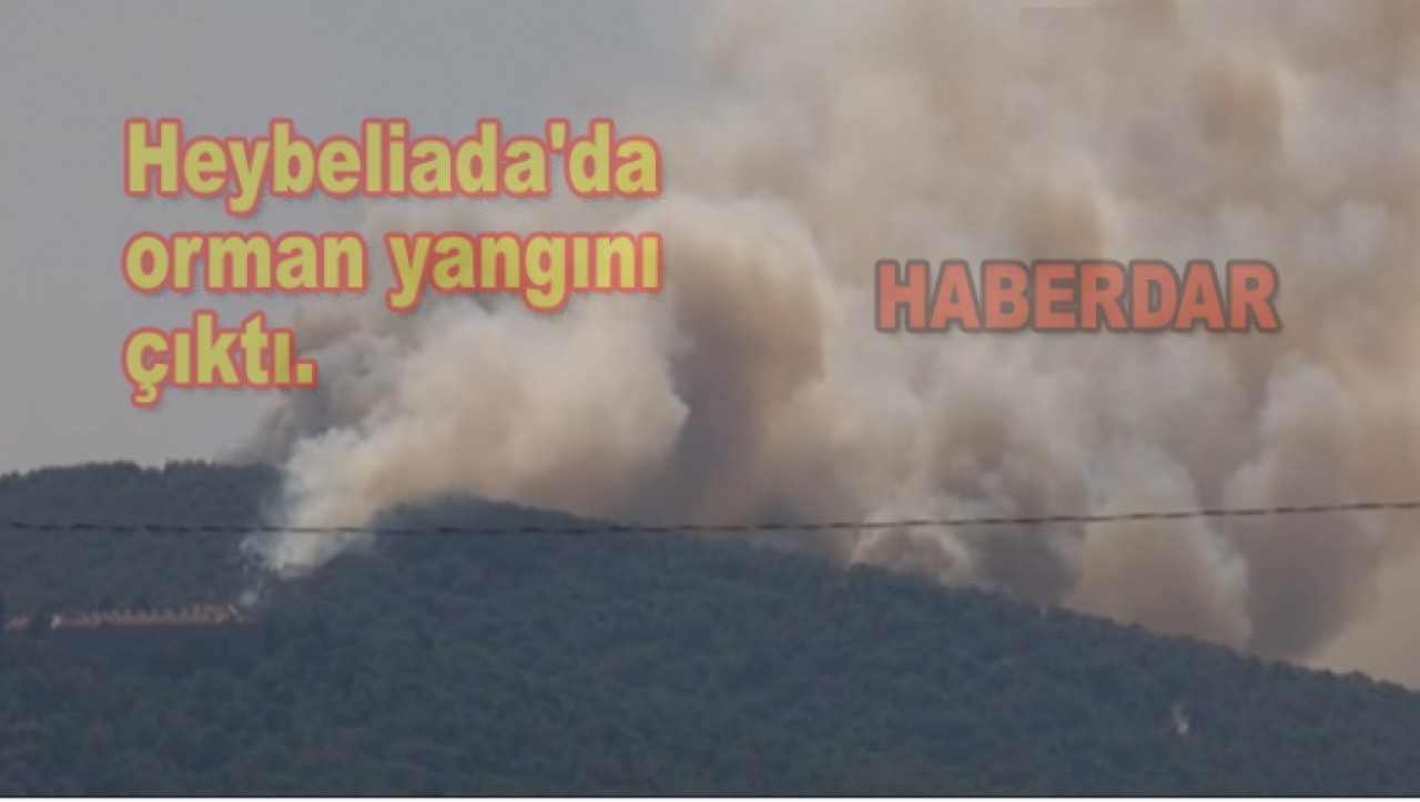 Heybeliadada orman yangını çıktı.