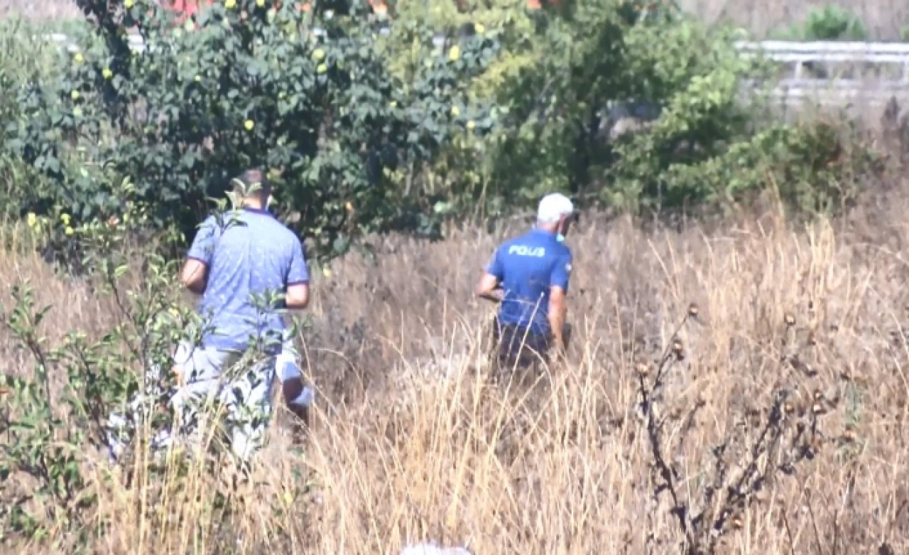 Meyve toplamaya gittiler ceset buldular!