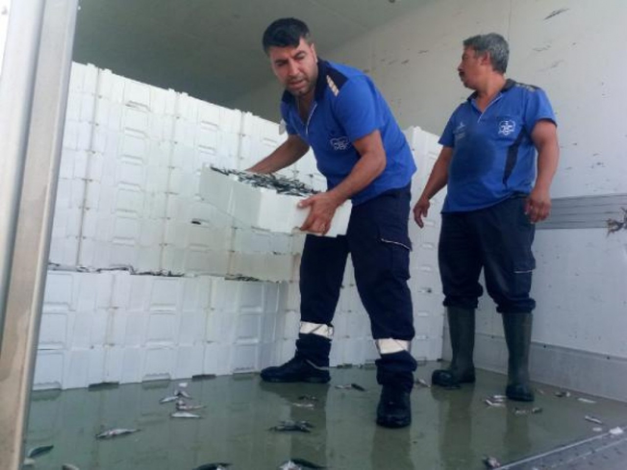 BEYLİKDÜZÜNDE 17 TON KÜÇÜK BOYDA İSTAVRİTE EL KONULDU