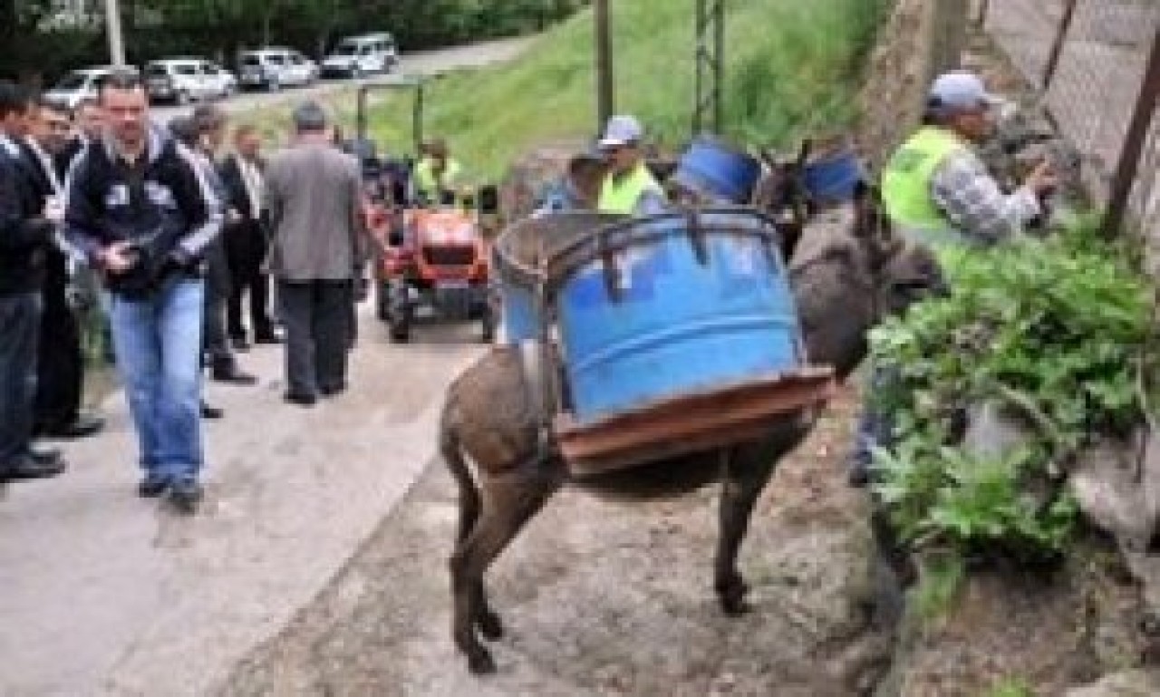 Çöpçü eşeklere emeklilik töreni
