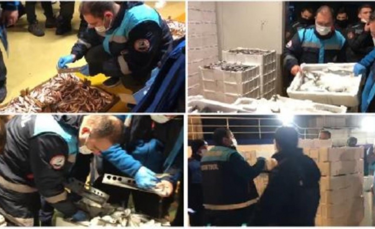 Gürpınar Su Ürünleri Halinde yaklaşık 5 ton balığa el konuldu