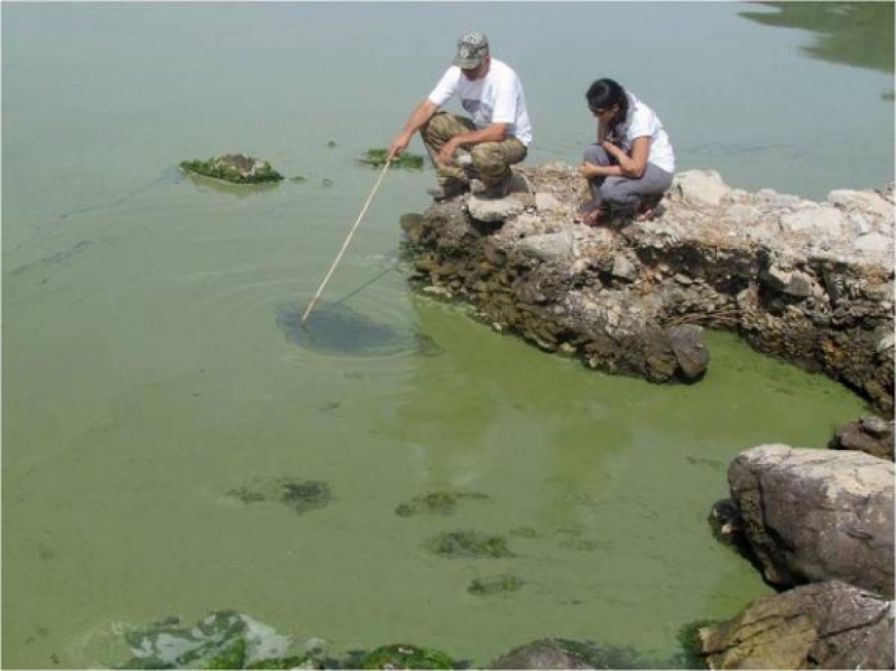 GÖLLERDE ÇÜRÜME FELAKETİ