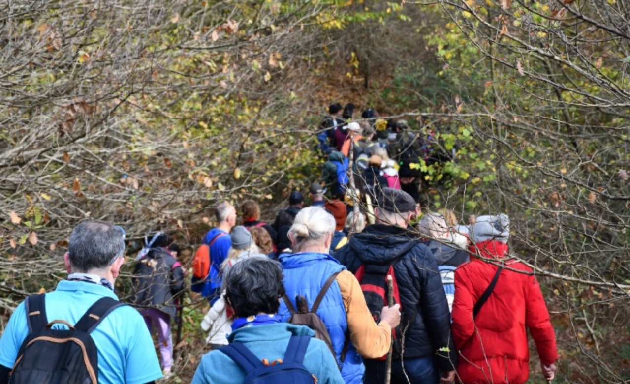 DOĞA YÜRÜYÜŞÜ KEYİFLİ ANLAR YAŞATTI