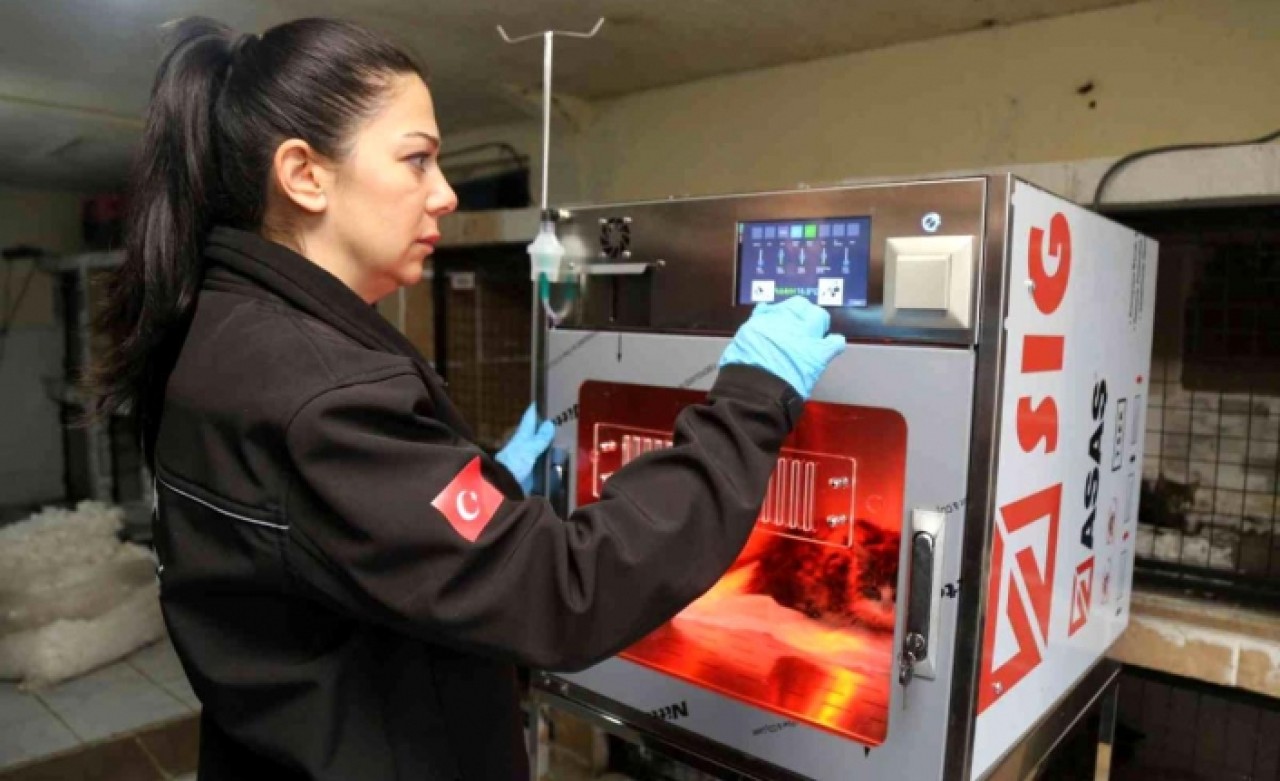 Kedi ve köpekler için yoğun bakım üniteleri hayata geçti