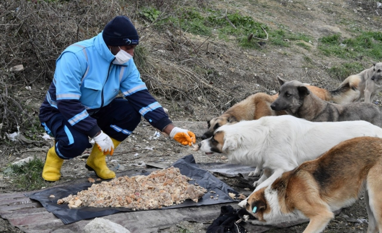 BEYLİKDÜZÜ BELEDİYESİ ZORLU KIŞ KOŞULLARINDA DA PATİLİ DOSTLARIN YANINDA