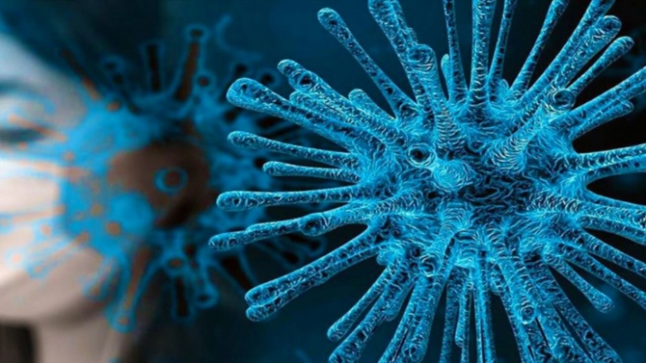 Koronavirüste yeni dalga endişesi! ‘2-3 hafta sonra Türkiye’de…’