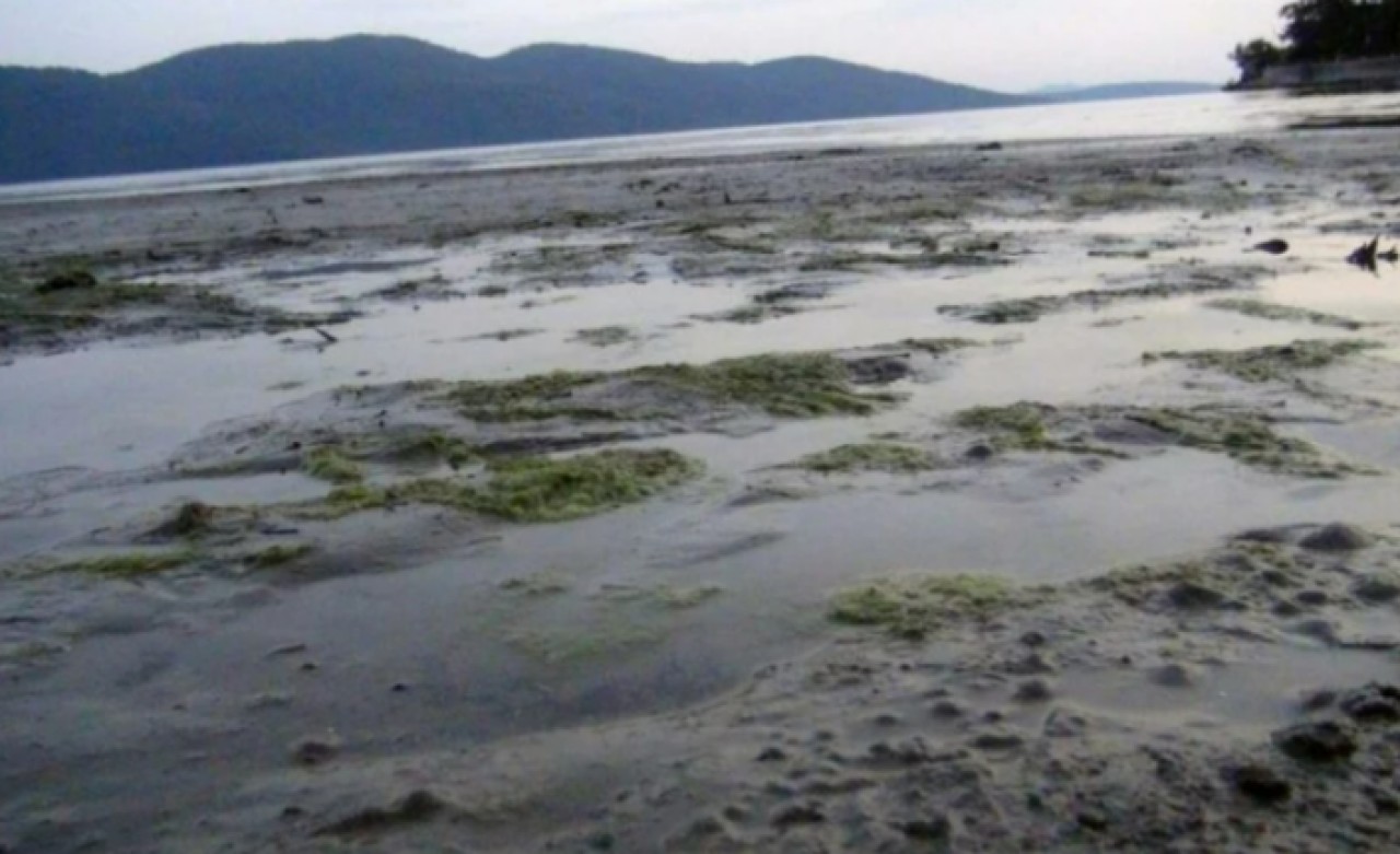 Muğlada süper gelgitler başladı! Uzmanından deprem açıklaması