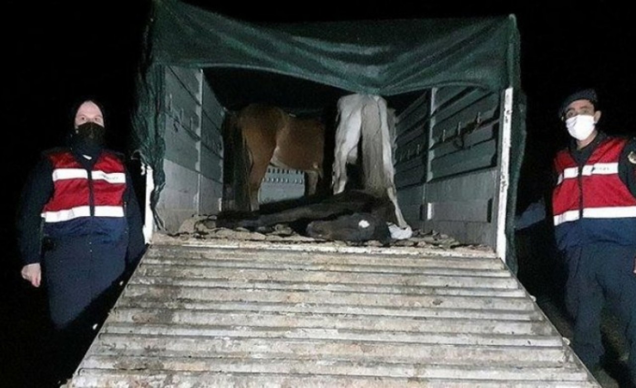 Mide bulandıran görüntüler! Operasyonda yakalandılar