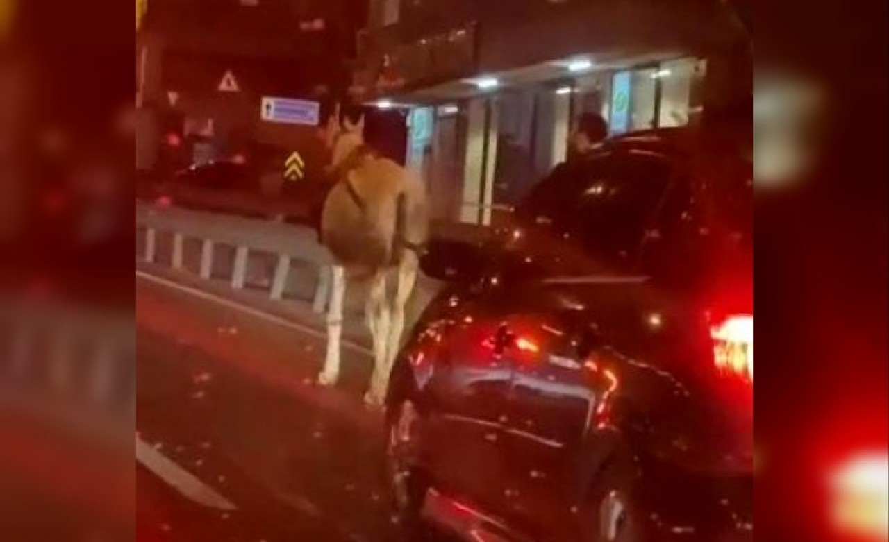 E-5 kovboyu trafiği birbirine kattı