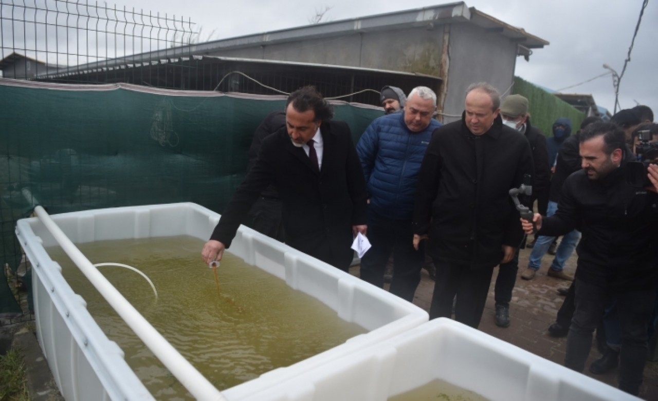 Küçükçekmece Lagünü için temizleme çalışmaları başlatıldı