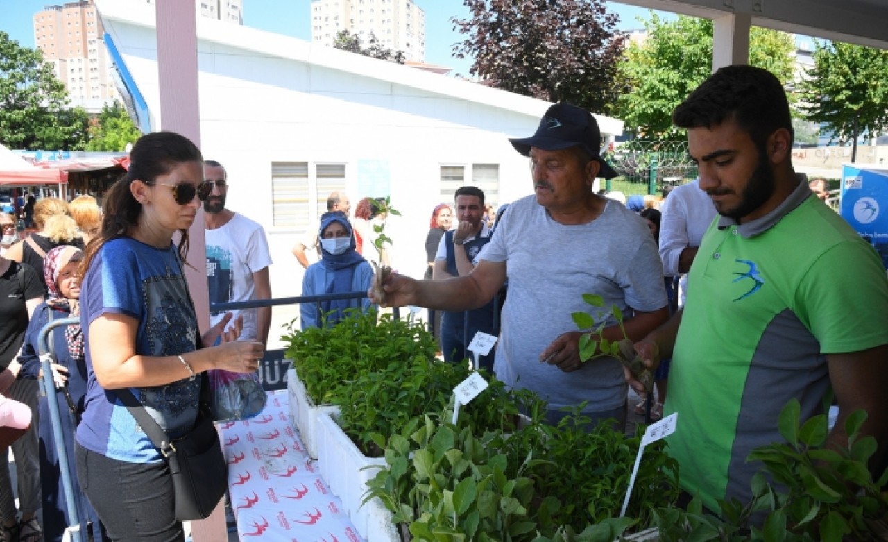 BEYLİKDÜZÜ BELEDİYESİ “FİDE BİZDEN HASAT SİZDEN” DEDİ