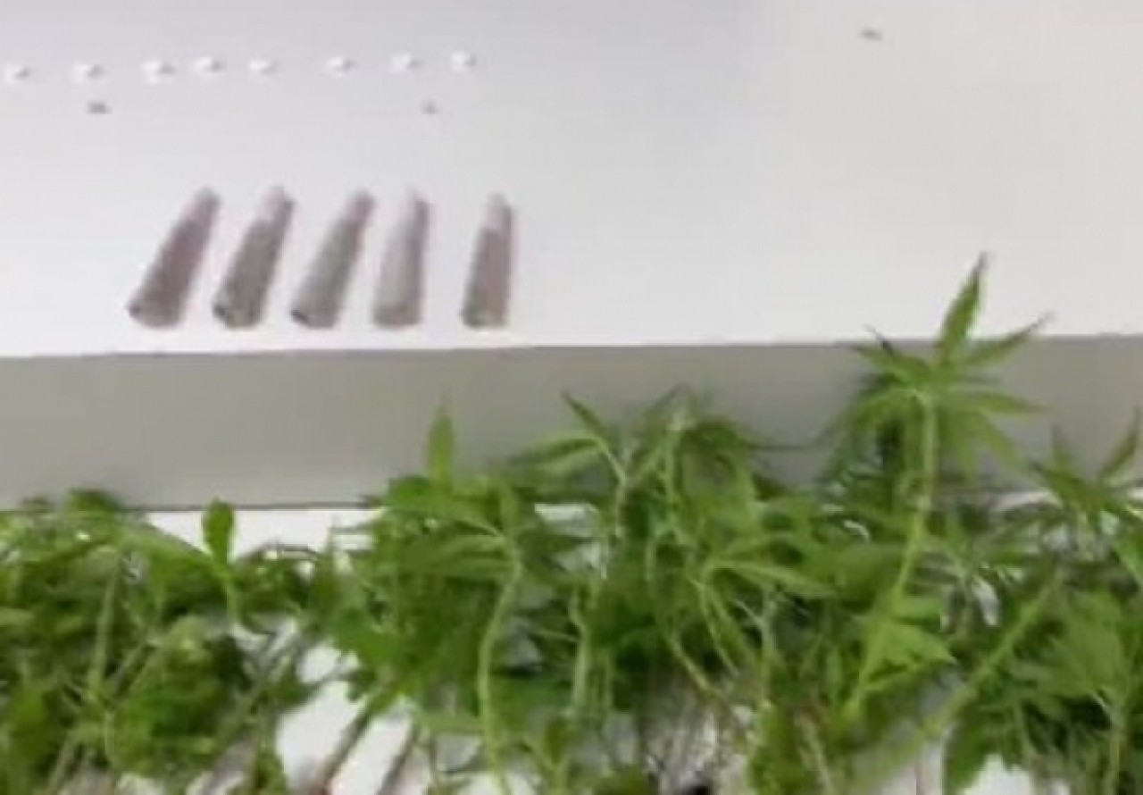 Beylikdüzünde uyuşturucu yetiştirilen eve operasyon