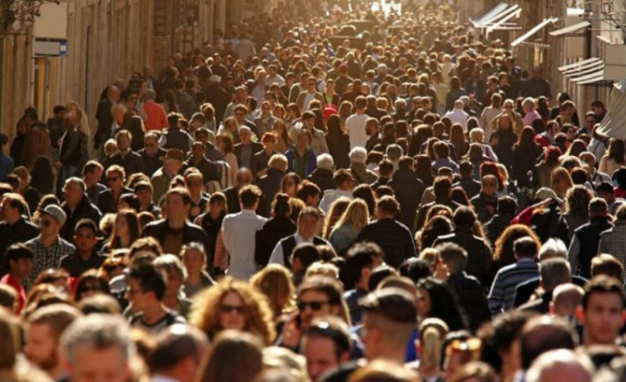 Gezicinin son anketinde çarpıcı veriler