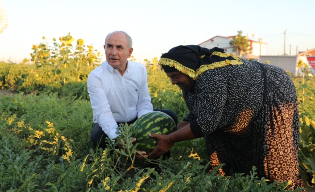 Karaağaçlı Romanların ilk hasadı düğün havasında gerçekleşti
