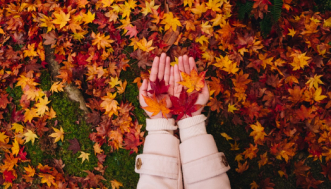 Sonbahar yorgunluğunu önleyebilirsiniz: Hayatınızı kolaylaştıracak 5 öneri