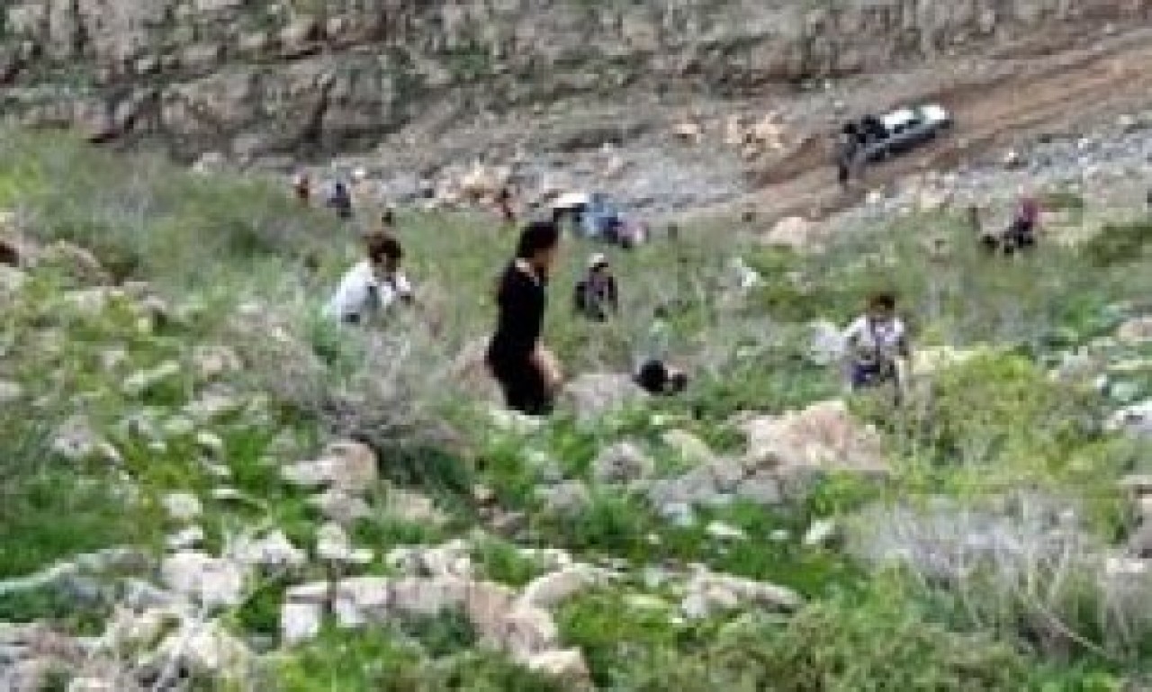 BDP’liler dağlarda PKK’lı cenazesi aradı