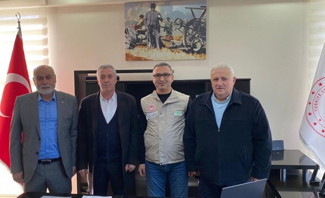 Evcil hayvanlara artık çip takılacak