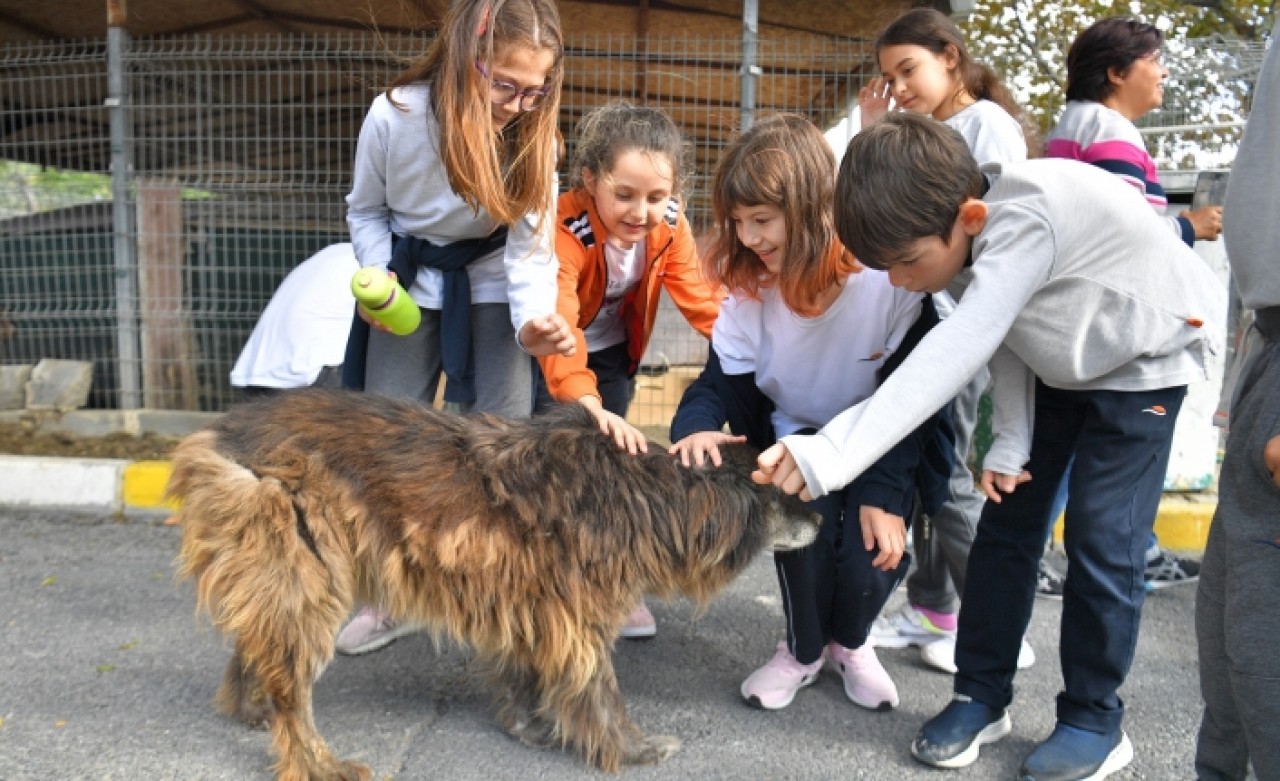 BEYLİKDÜZÜ’NDE PATİLİ DOSTLAR MUTLU