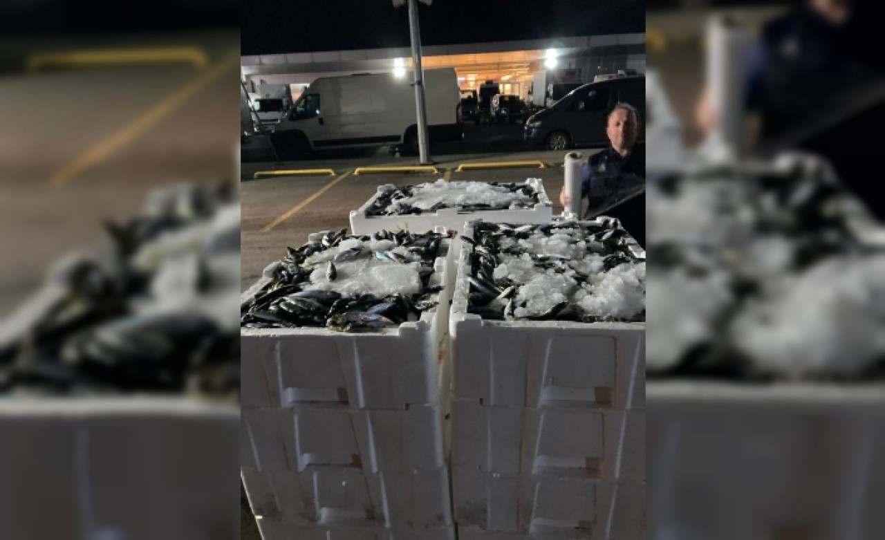 2 ton balığa el konuldu