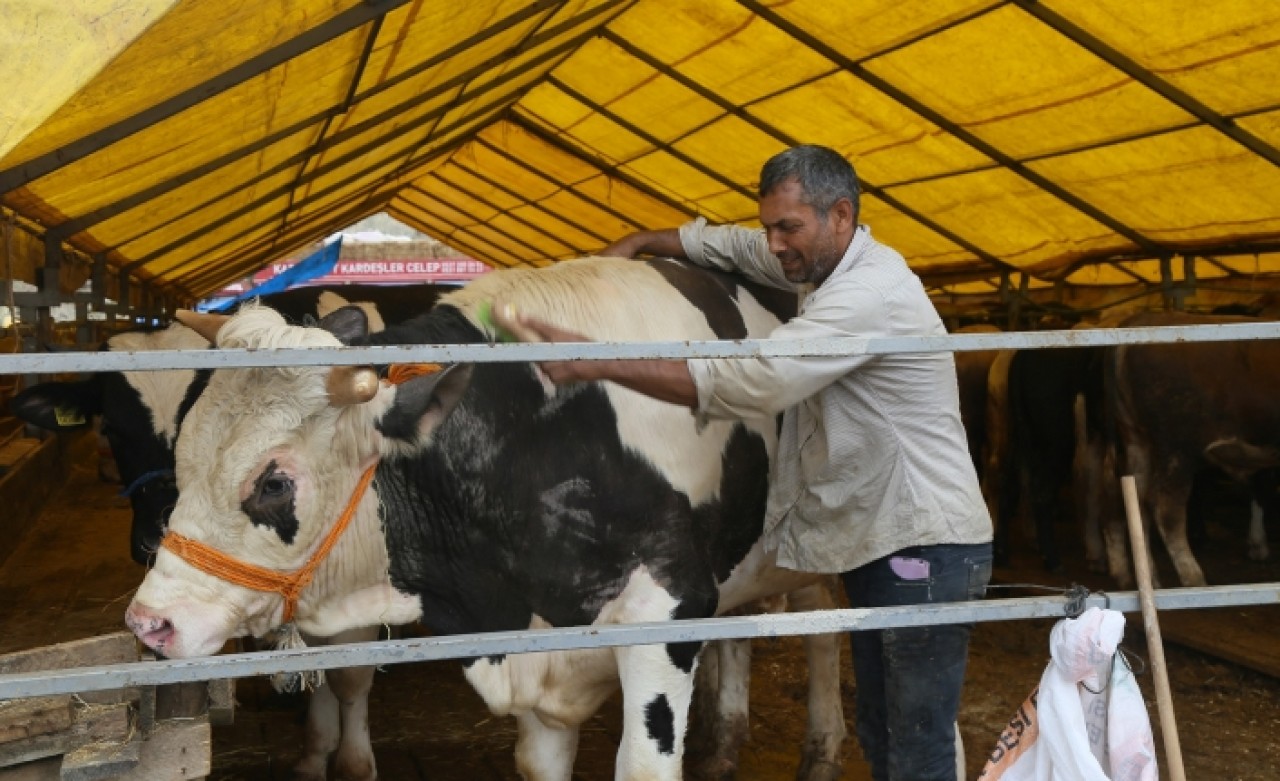 Modern bir kesimhane